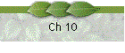 Ch 10