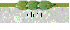 Ch 11