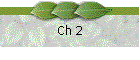 Ch 2