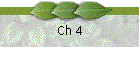 Ch 4