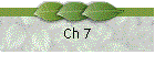 Ch 7