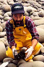 NOAA biologist with small cage full of mussels.